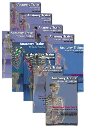 Tom Myers - Technique Series Set of 10 Videos - Complete1