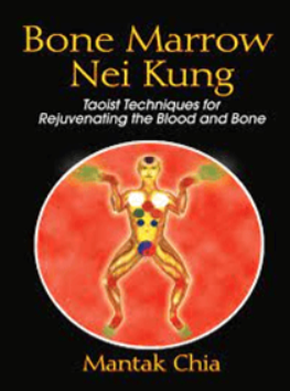 William U. Wei (The Professor) - Bone Marrow Nei Kung1