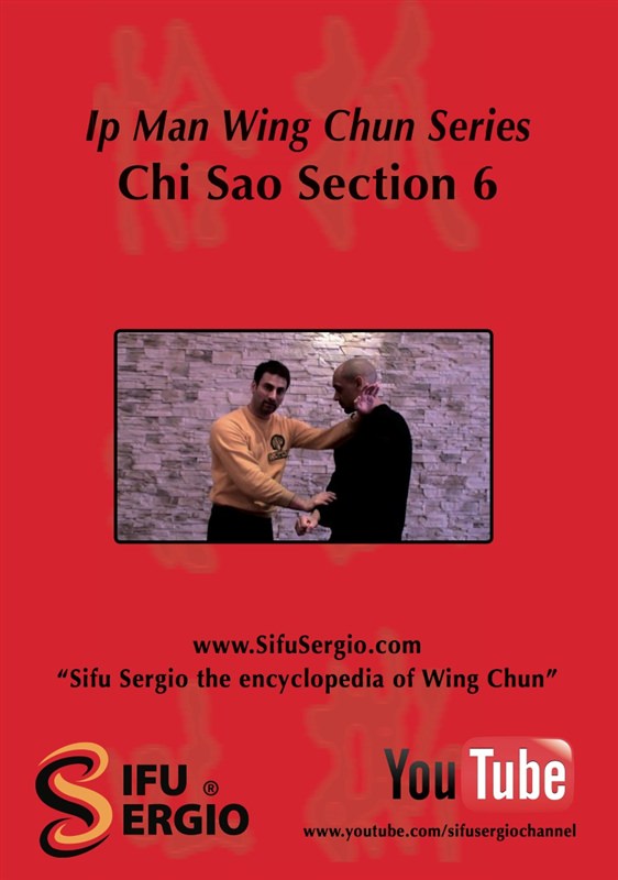 vSifu Sergio - Ip Man Series Chi Sao Section 6