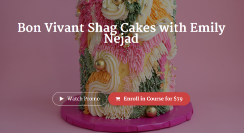 Emily Nejad - Bon Vivant Shag Cakes with Emily Nejad