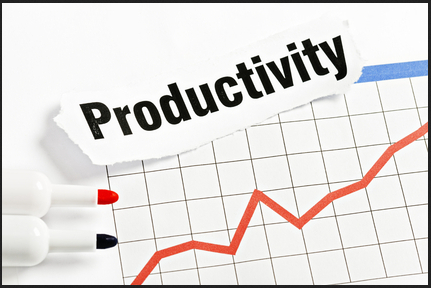 Iris Reading - Productivity Course Level 1