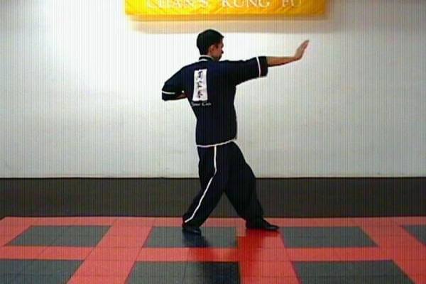 Sam Chan Ip Ching - Foundations of Wing Chun