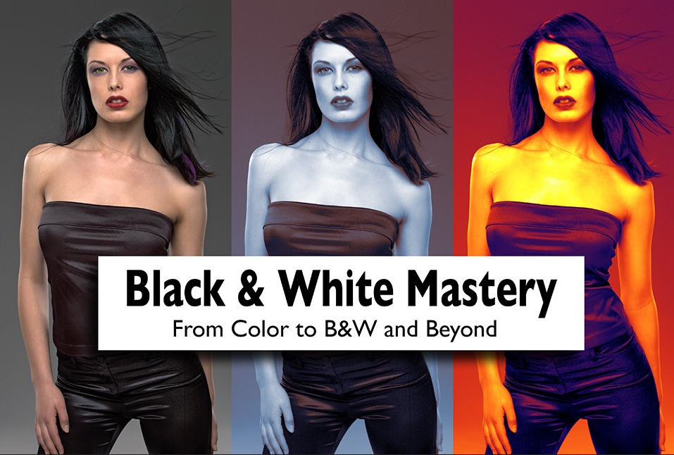 Lee Varis - Black & White Mastery