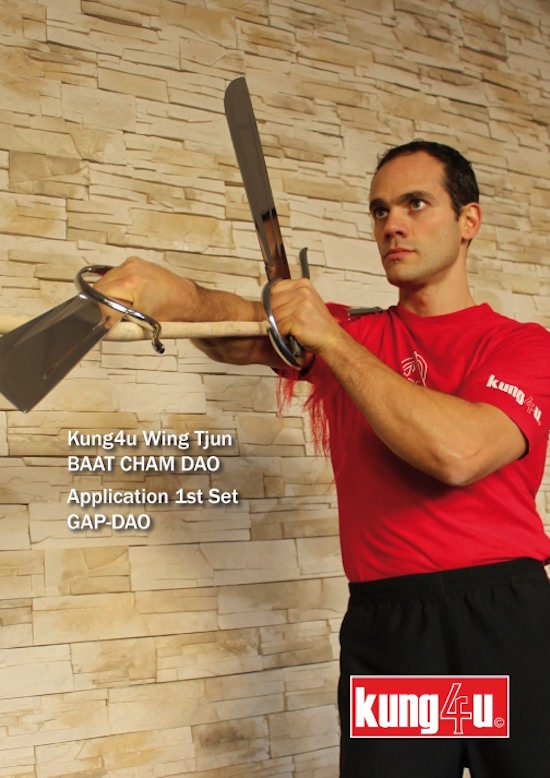 Sifu Taner & Sifu Graziano - Baat Cham Dao (Butterfly Swords) Applications 1