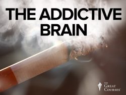 The Addictive Brain1