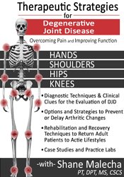 Therapeutic Strategies for Degenerative Joint Disease Overcoming Pain and Improving Function - Shane Malecha