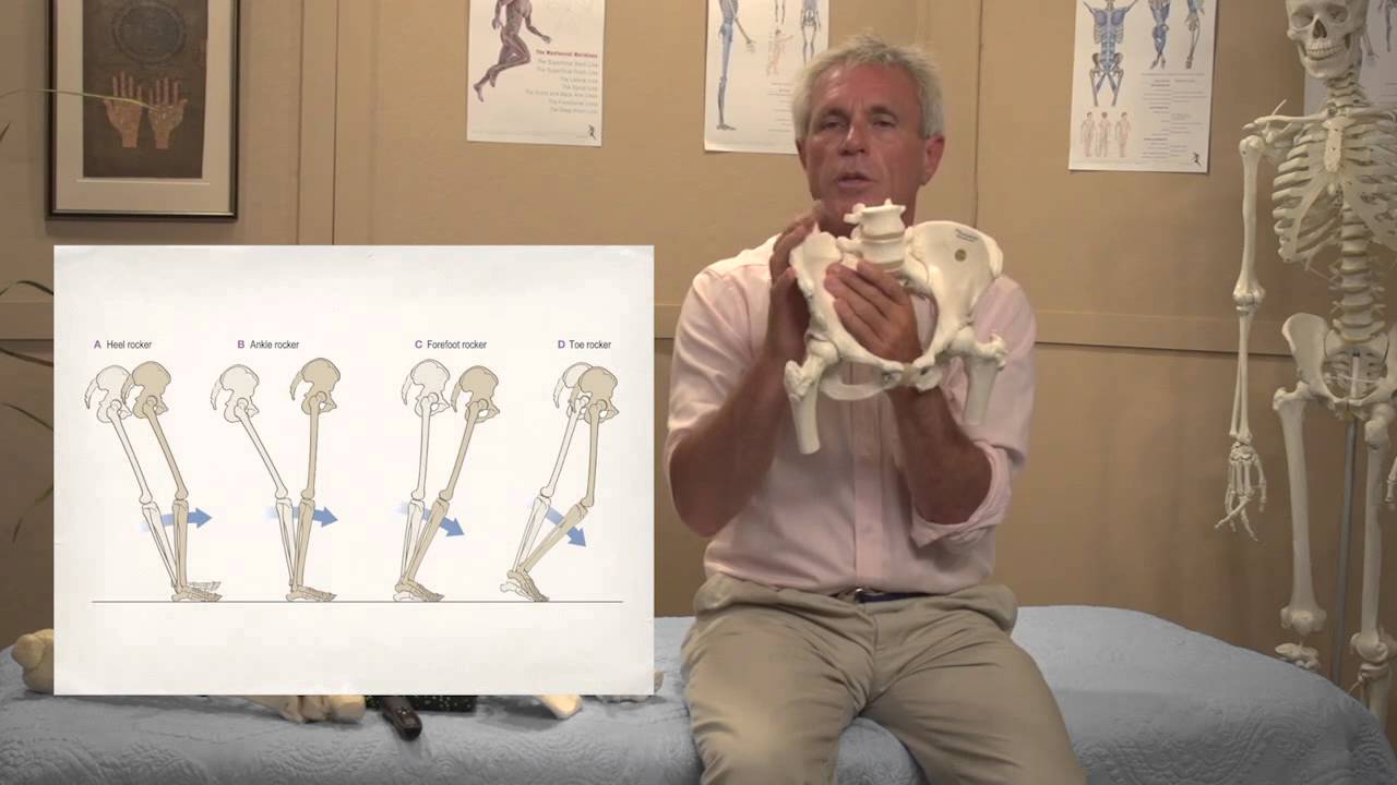 Tom Myers - Balancing the Pelvis1