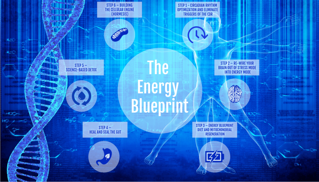 ​​Theenergyblueprint - The Better Brain Blueprint