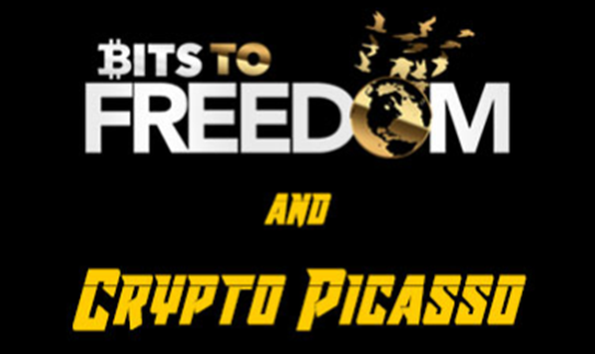 CRYPTO PICASSO BITS TO FREEDOM VIDEO COURSE