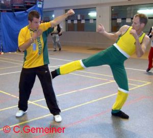 Craig Gemeiner - La Canne - voL 3-The Waking Stick Method of Self DefenseCraig Gemeiner - La Canne - voL 3-The Waking Stick Method of Self Defense