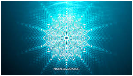 Digital C60 + Pineal Awakening + Digital CBD