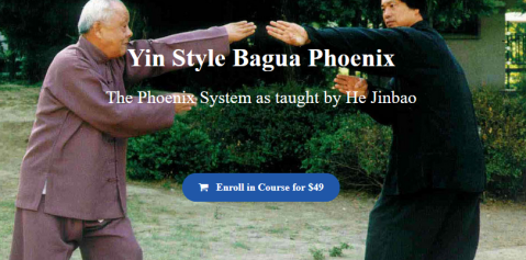 He Jinbao - Yin Style Bagua Phoenix