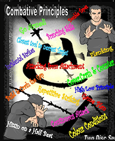 Lee Morrison - Combative Principles 2