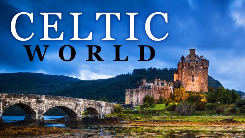 TTC The Celtic World Medbay1