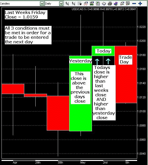 The Forex Loophole1