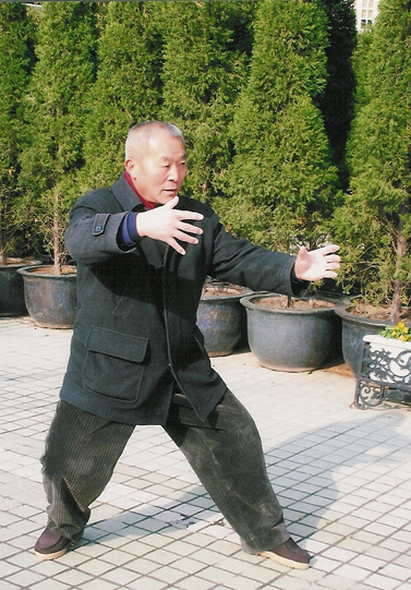 Yun Yin Sen - Liu He Ba Fa Internal Chinese Martial Art Interview1