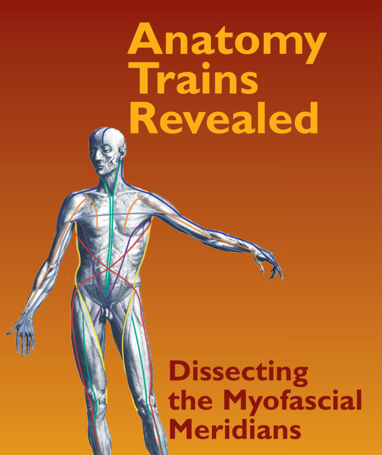 Anatomy Trains Revealed Dissecting the Myofascial Meridians