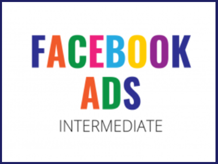 ConversionXL - Dennis Yu & Logan Young - Intermediate Facebook Ads