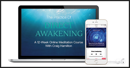 Craig Hamilton - The Practice Of Direct Awakening (Module 01 - 12)