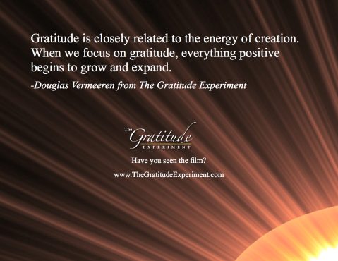 Douglas Vermeeren - The Gratitude Experiment