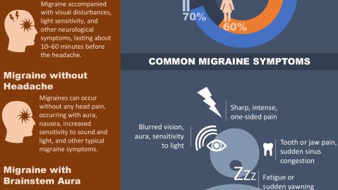 Heather Ackmann - PowerPoint: Creating an Infographic