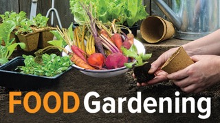 TTC Video - Food Gardening for Everyone1