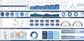 Wisevis - Advanced Excel Dashboards1