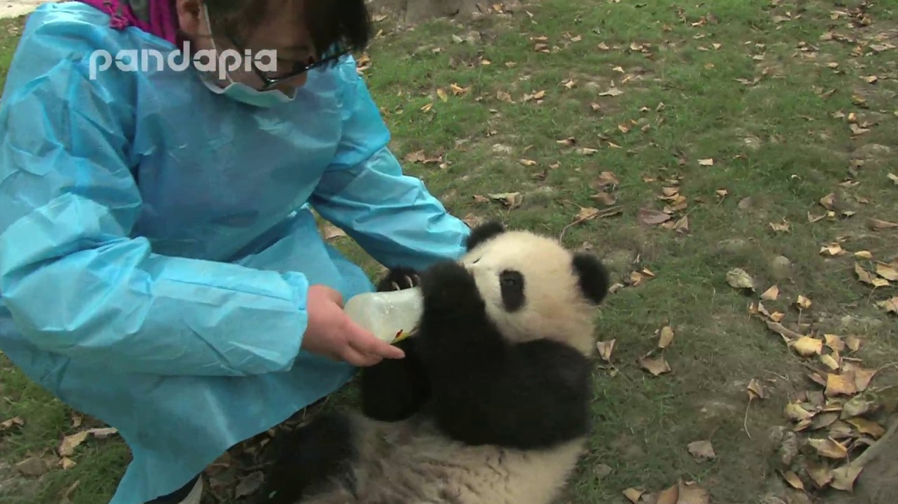 Mike & Troy - Feeding The Panda