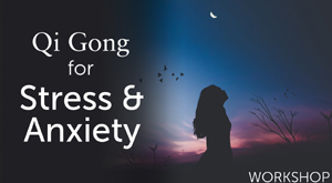 Lee Holden - Qi Gong for Stress & Anxiety Workshop