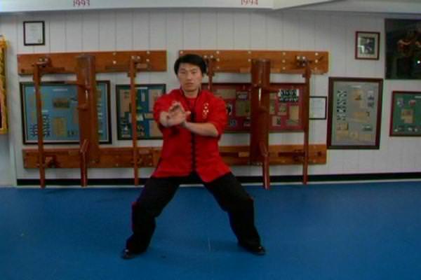 Shaolin Wing Chun Series Level 1 Vol 1