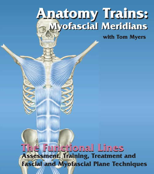 Tom Myers - Technique Series Functional Lines1