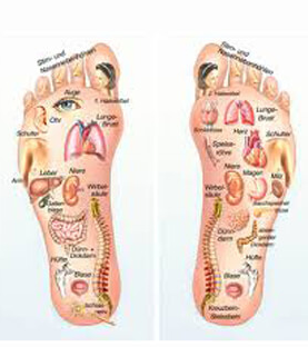 Traditional Chinese Medicine - Foot Reflexology1