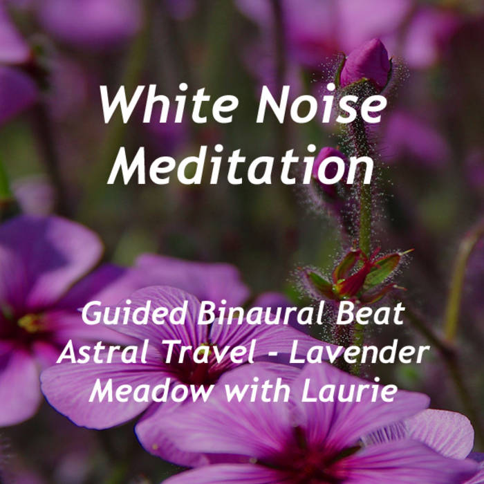 White Noise Meditation - Guided Binaural Beat Astral Travel ~ Lavender Meadow with Laurie1