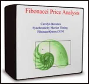 Carolyn Boroden - Fibonacci Price Analysis Part 1 - 3
