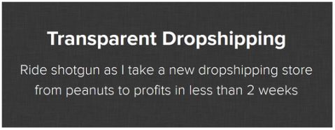 Danny Roars - Transparent Dropshipping