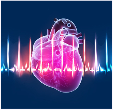 Dr. Rollin McCraty - The Science of Heart Rate Variability Made Simple