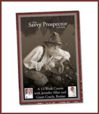 FJennifer Allan - The Savvy Prospector