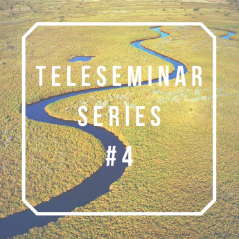 Greg Pinneo - Teleseminar Series 4