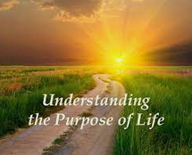 Michael Mirdad - Understanding the Purpose of Life's