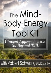 The Mind-Body-Energy ToolKit Clinical Approaches that Go Beyond Talk - Robert Schwarz