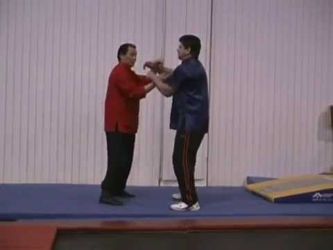 William Cheung - Chi Sao and BOEC Sparring Seminar