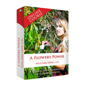 A Flower's Power A Course In Flower Essences