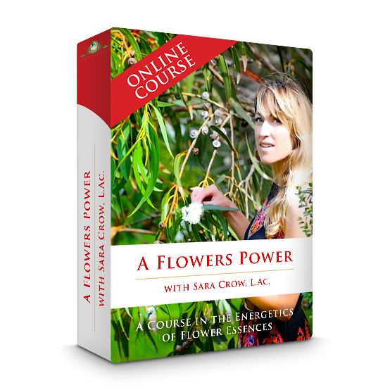 A Flowers Power - A Course In The Energetics Of Flower Essences