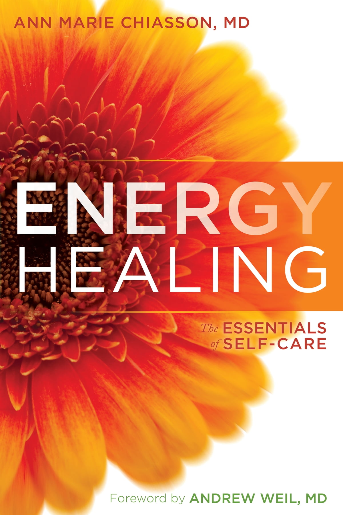 ANN MARIE CHIASSON - ENERGY HEALING ONLINE COURSE