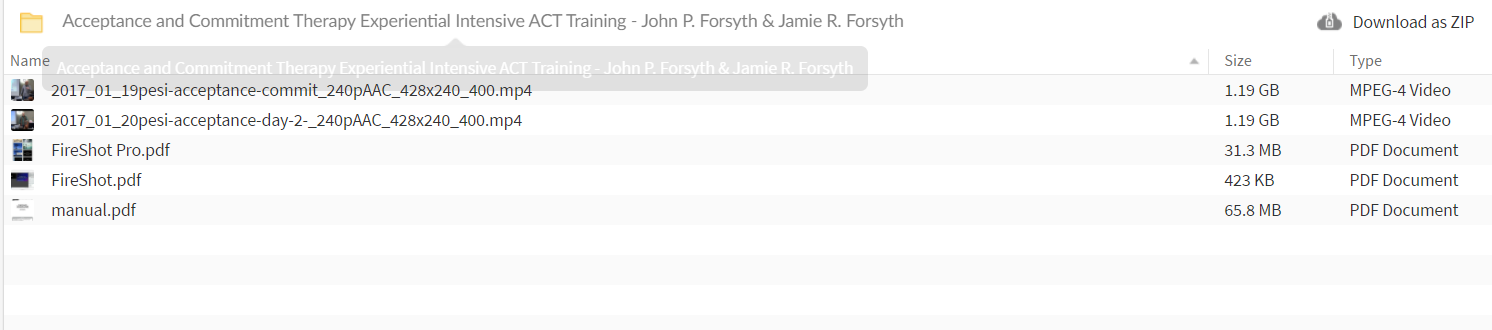 Acceptance and Commitment Therapy Experiential Intensive ACT Training - John P. Forsyth & Jamie R. Forsyth