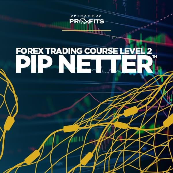 Adam Khoo - Forex Trading Course Level 2 Pip Netter 2021