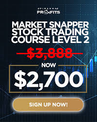 Adam Khoo - Stock Trading Course Level 2 Market Snapper (Copy)