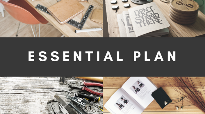 Alex Absalom & Doug Paul - MC Starter Kit The ESSENTIAL Plan