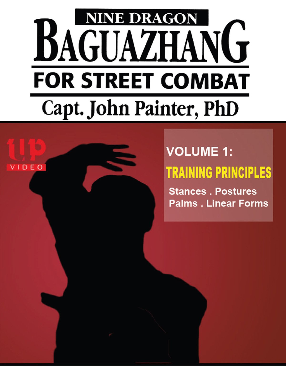 Bagua Street Combat