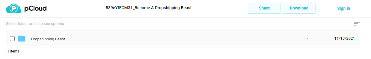 Become A Dropshipping Beast